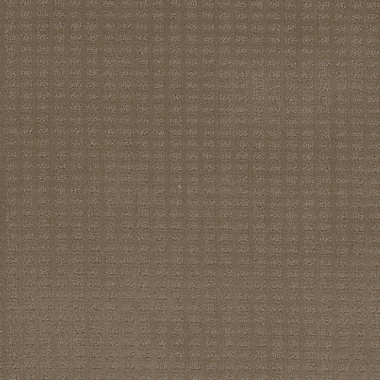 Superb Carpet by Engineered Floors 6564