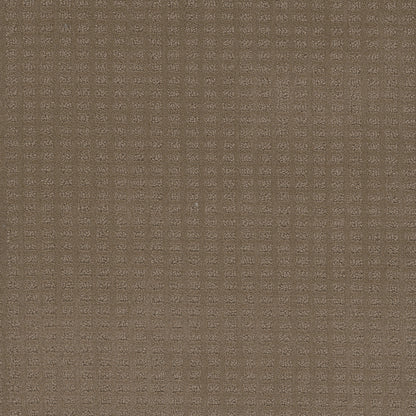 Superb Carpet by Engineered Floors 6564