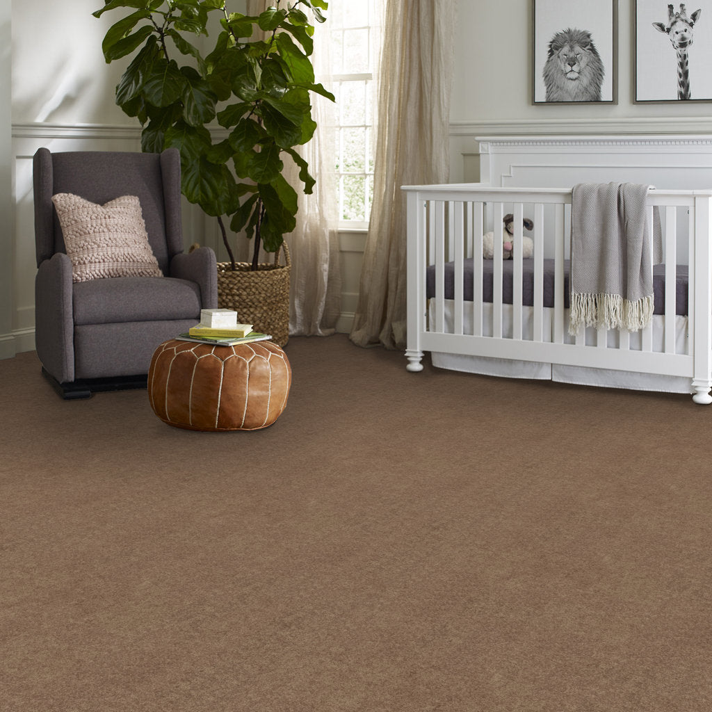 Driftwood - stain-resistant carpet