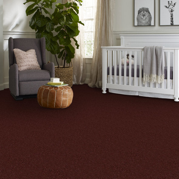 Coffee - durable carpet