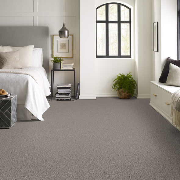 Fossil - Stain-resistant carpet
