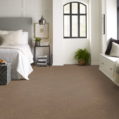 Taupe Mist - Dyersburg carpet