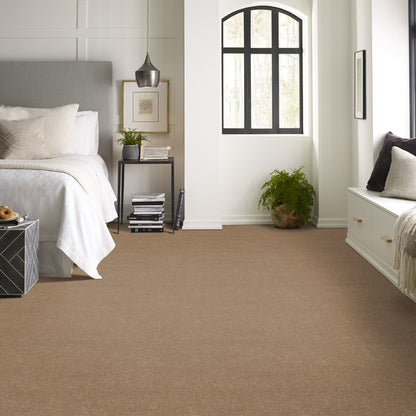 Dusty Trail - Classic carpet by Shaw