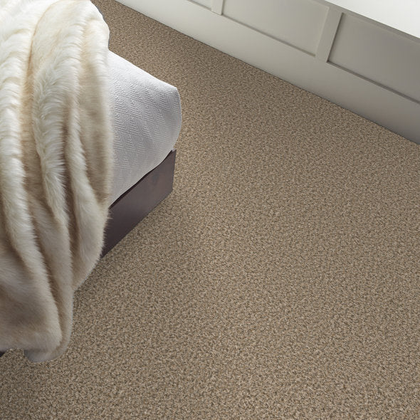 Shop Break Away Berber carpet