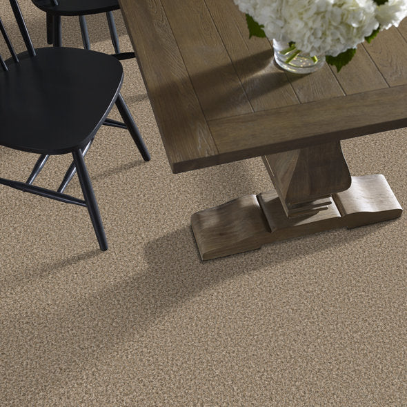 Break Away Carpet by Shaw Floors