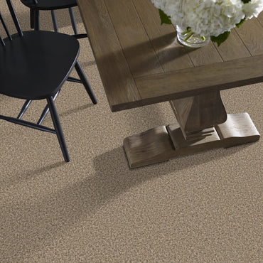 Break Away Carpet by Shaw Floors