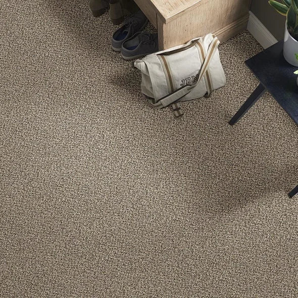 Berber Carpet by Shaw