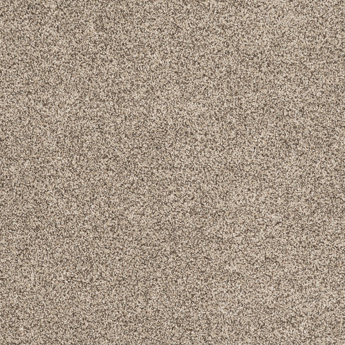 Canyonland Pet-friendly carpet