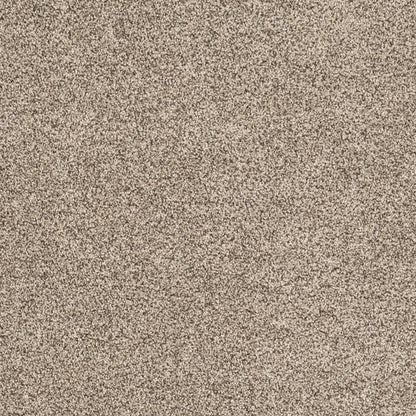 Canyonland Pet-friendly carpet