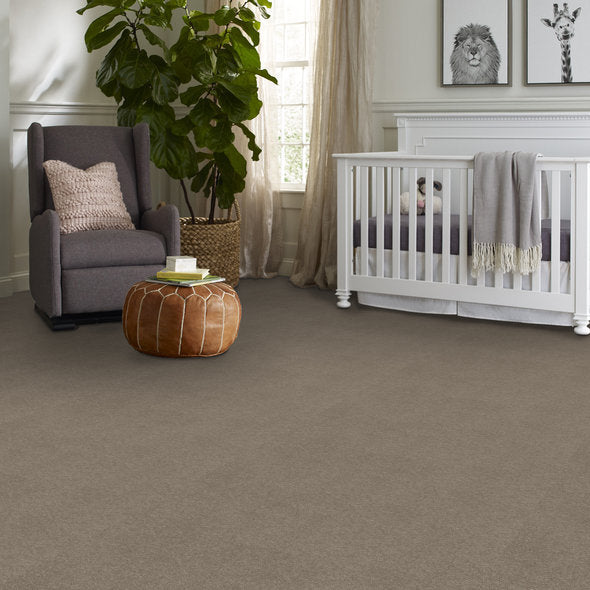 Dyersburg Carpet by Shaw Floors