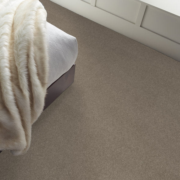 Shaw Floors soft comfort carpet