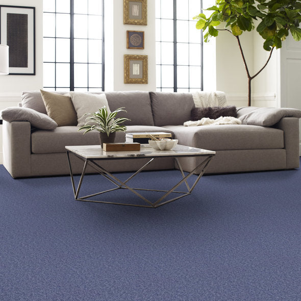 Shaw lvt Stylish Carpet