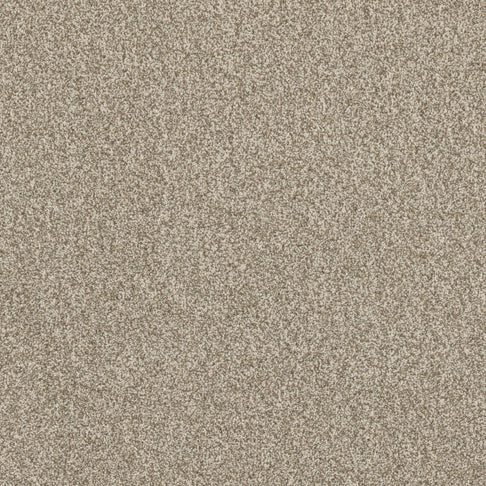 Grande Chia brushed cotton carpet