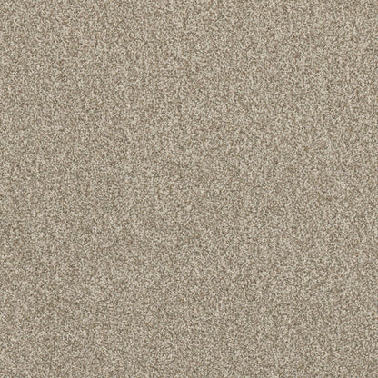 Grande Chia brushed cotton carpet