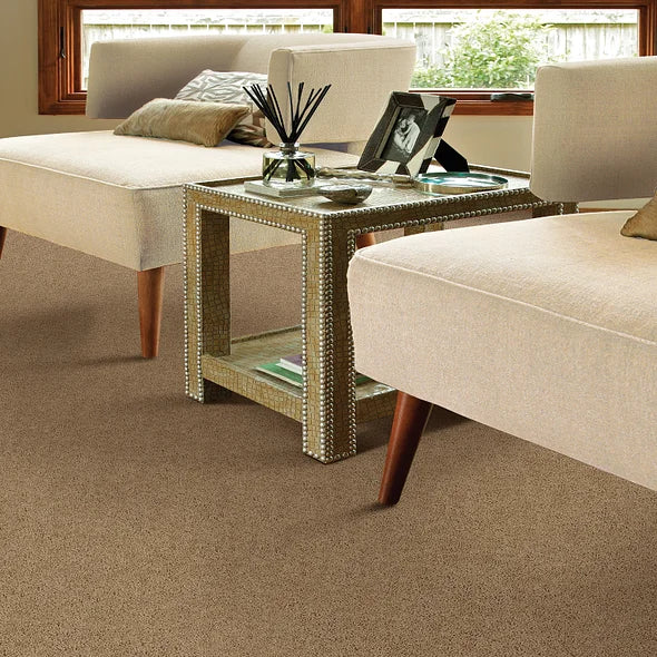 Clay - Break Away Carpet in LA