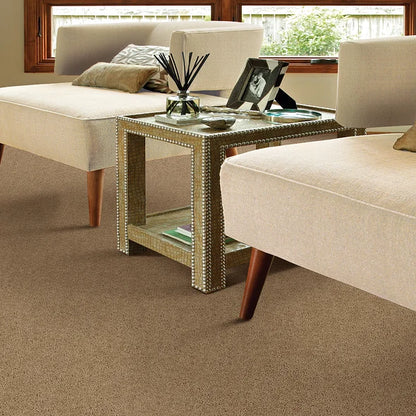 Clay - Break Away Carpet in LA