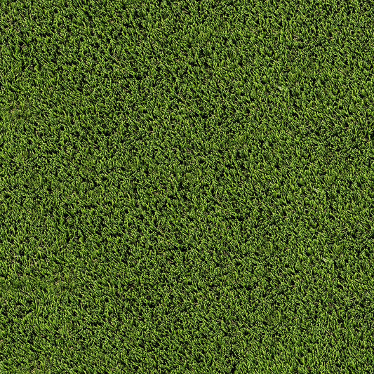 Evergrass Emerald Green Turf