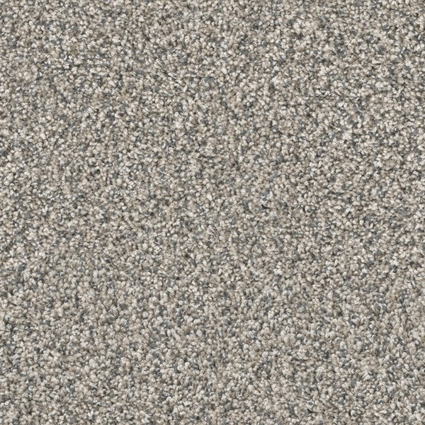  Satisfaction Carpet