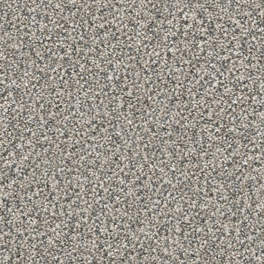  Satisfaction Carpet
