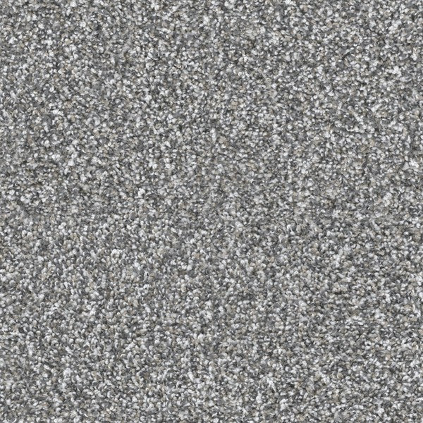 Loft Satisfaction Carpet