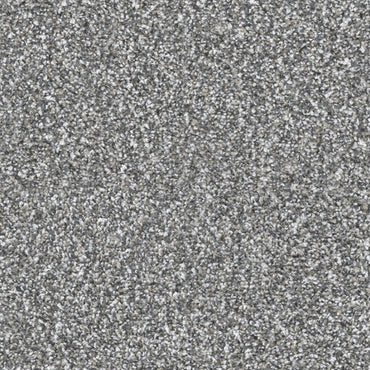 Loft Satisfaction Carpet
