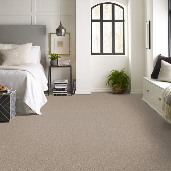 Soft Taupe carpet