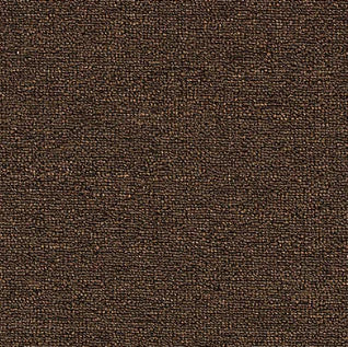 Walnut - Carpet by Mohawk