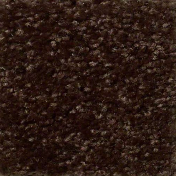 Walnut - Stylish Carpet by Shaw lvt